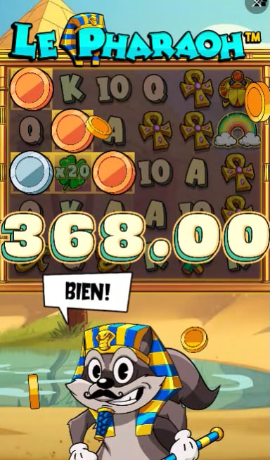 bodogbet